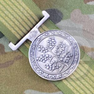 National Emergency Medal NEM