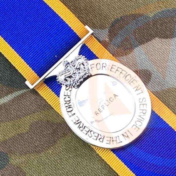Reserve Force Medal RFM - Image 2